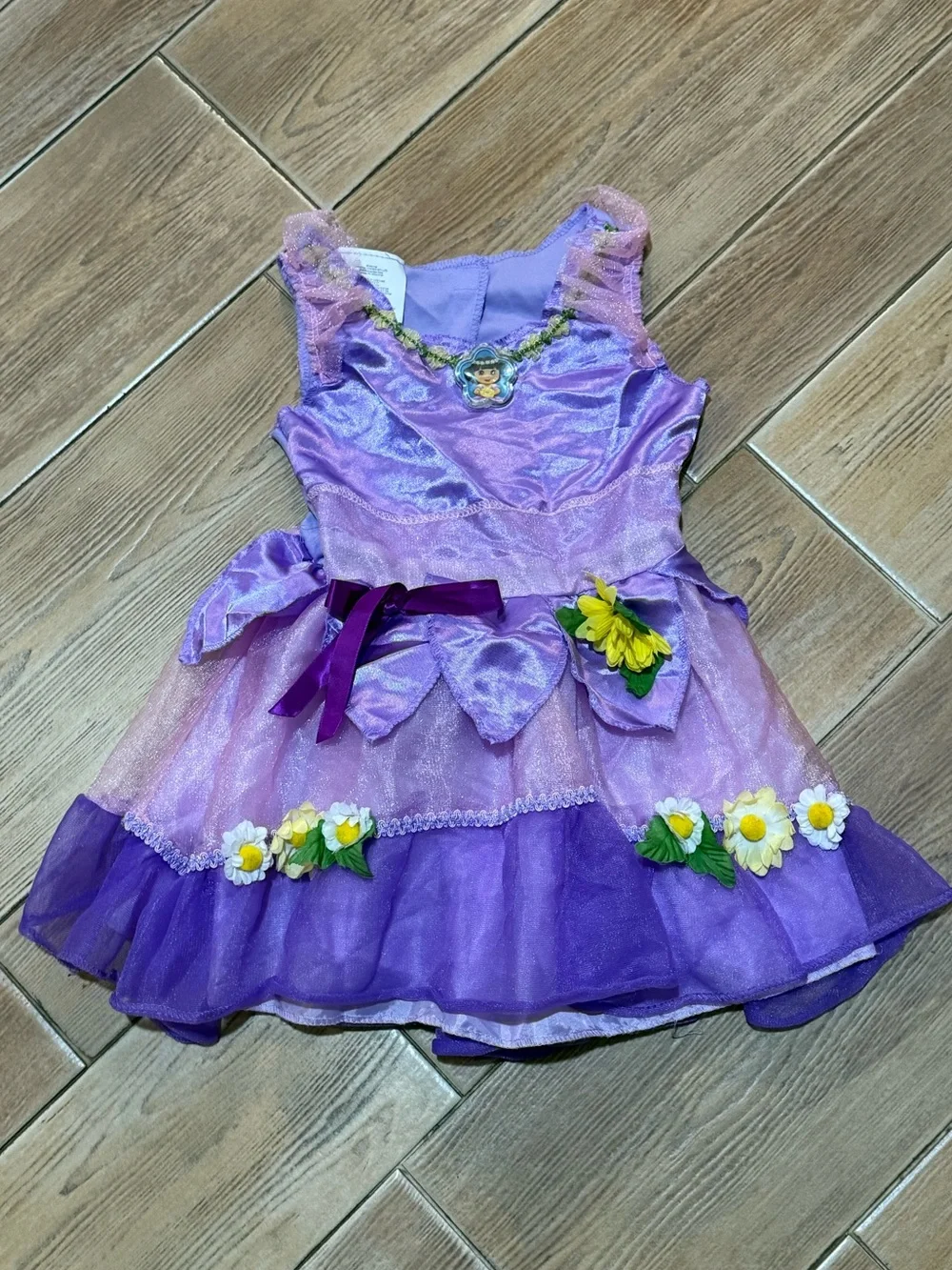 Dora the Explorer Costume
